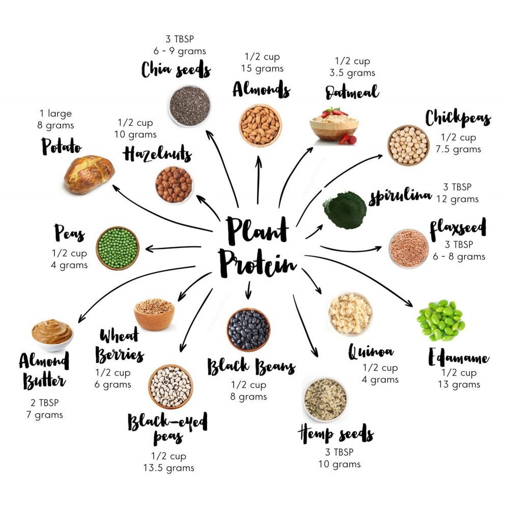 plant based protein chart whole harvest blog