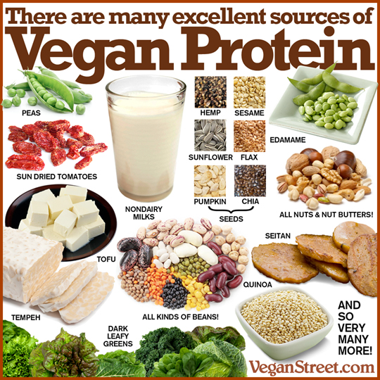 excellentsourcesofveganprotein-VS