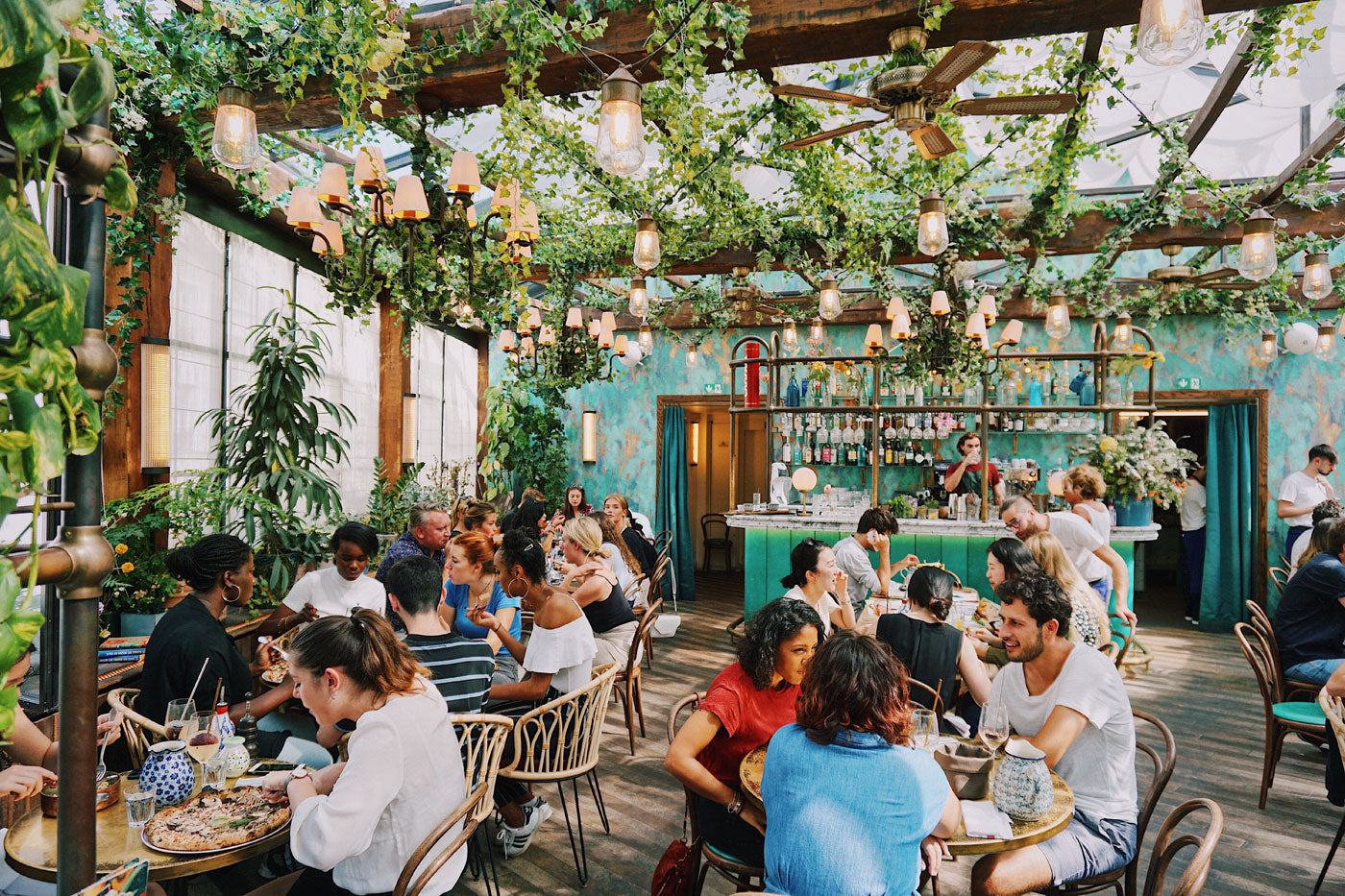 Plant-Based Restaurant in the US