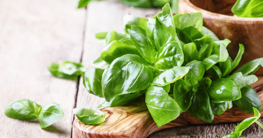 Fresh Basil