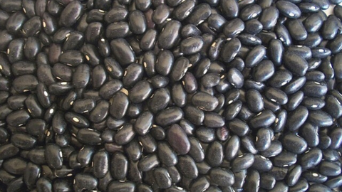 black beans lower stress whole harvest