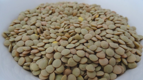 lentils lower stress whole harvest