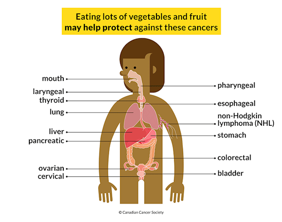 Link between eating more vegetables and cancer