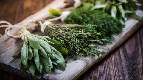 herbs whole harvest blog